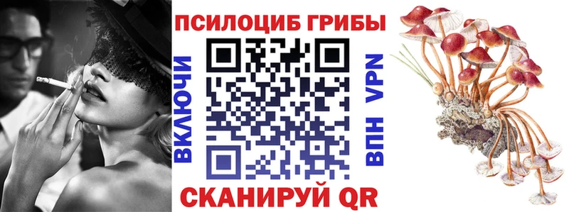 Купить закладки  Называевск  Псилоцибиновые грибы мицелий 